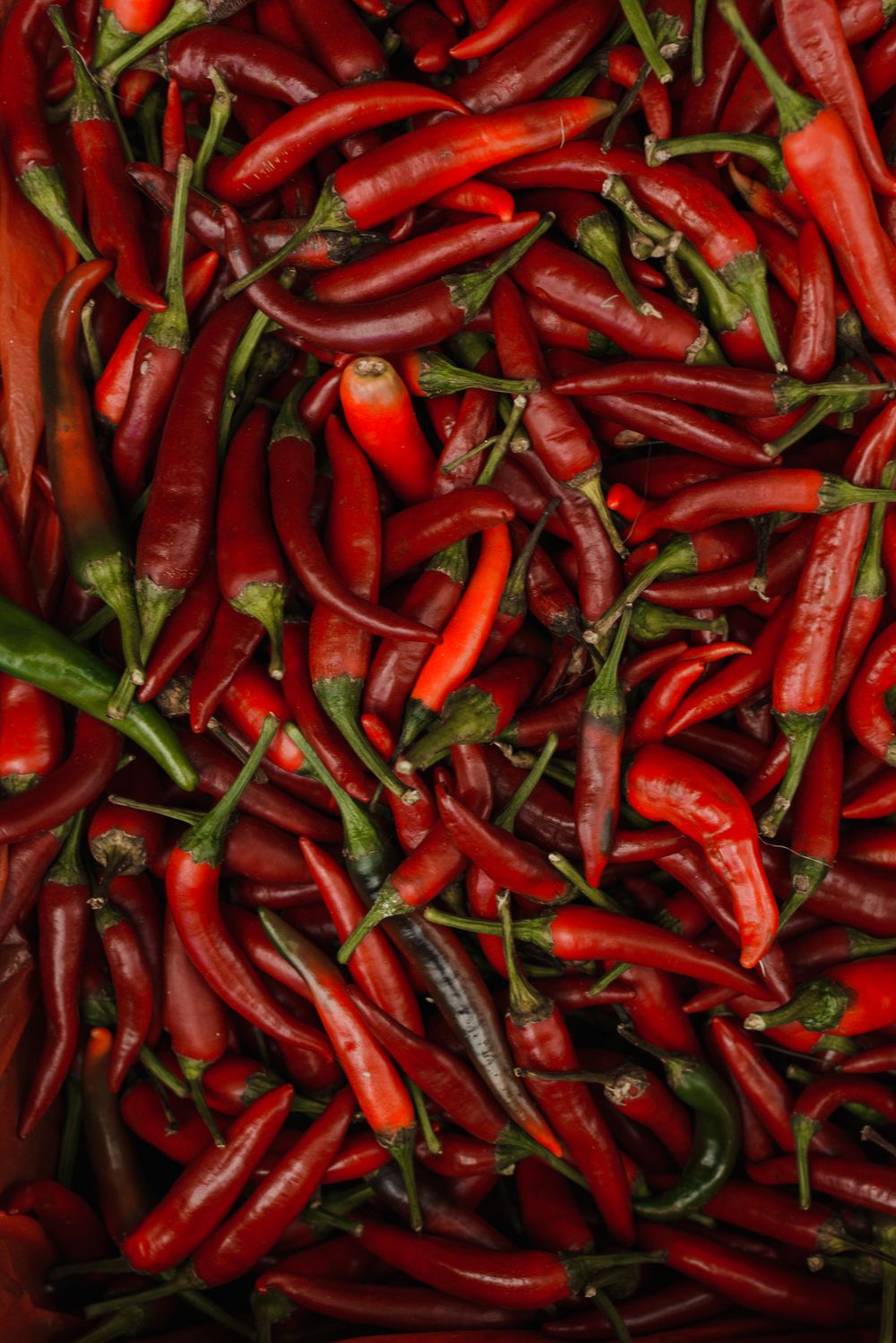 Chilli